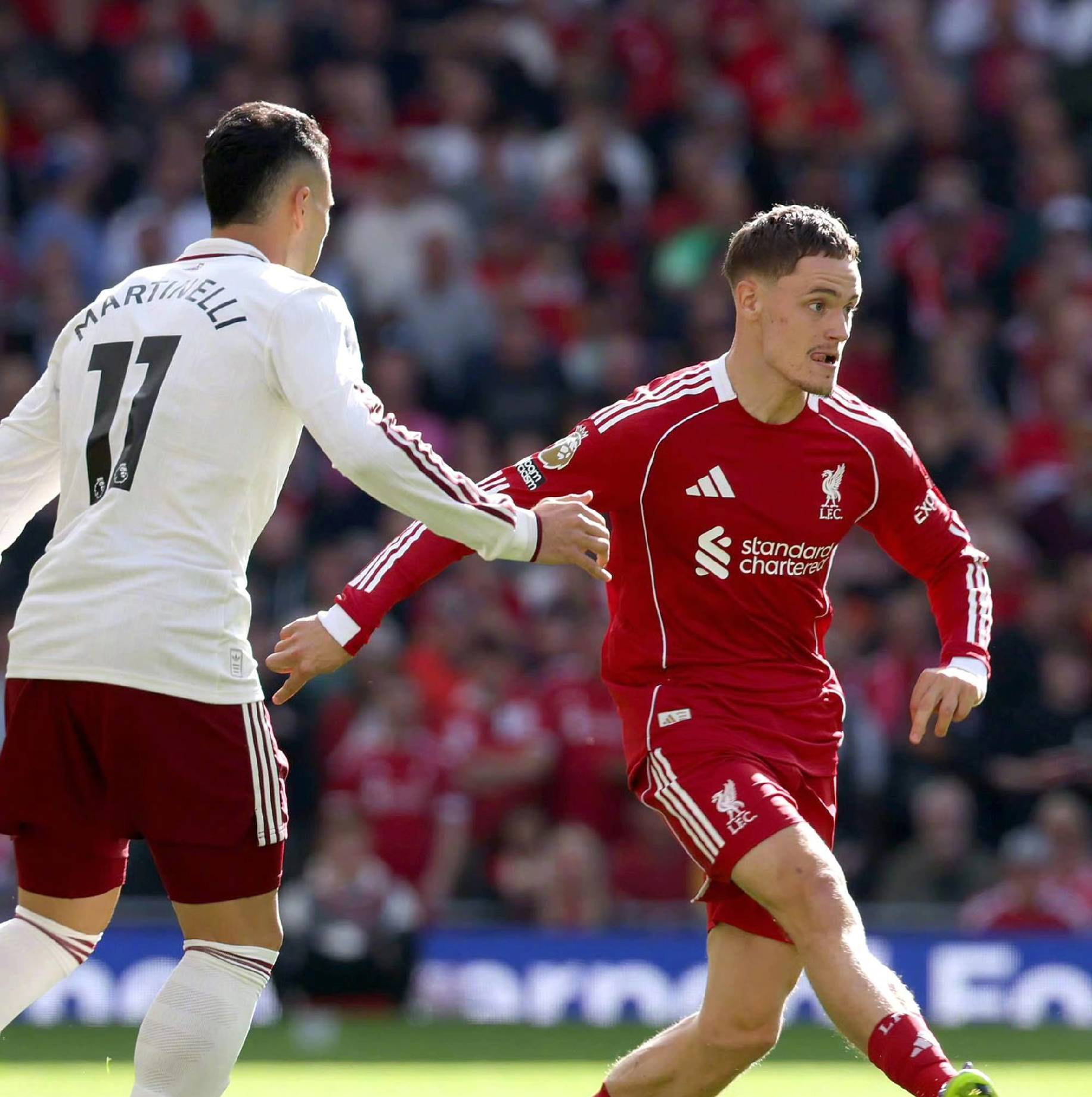 人类经验 人类经验