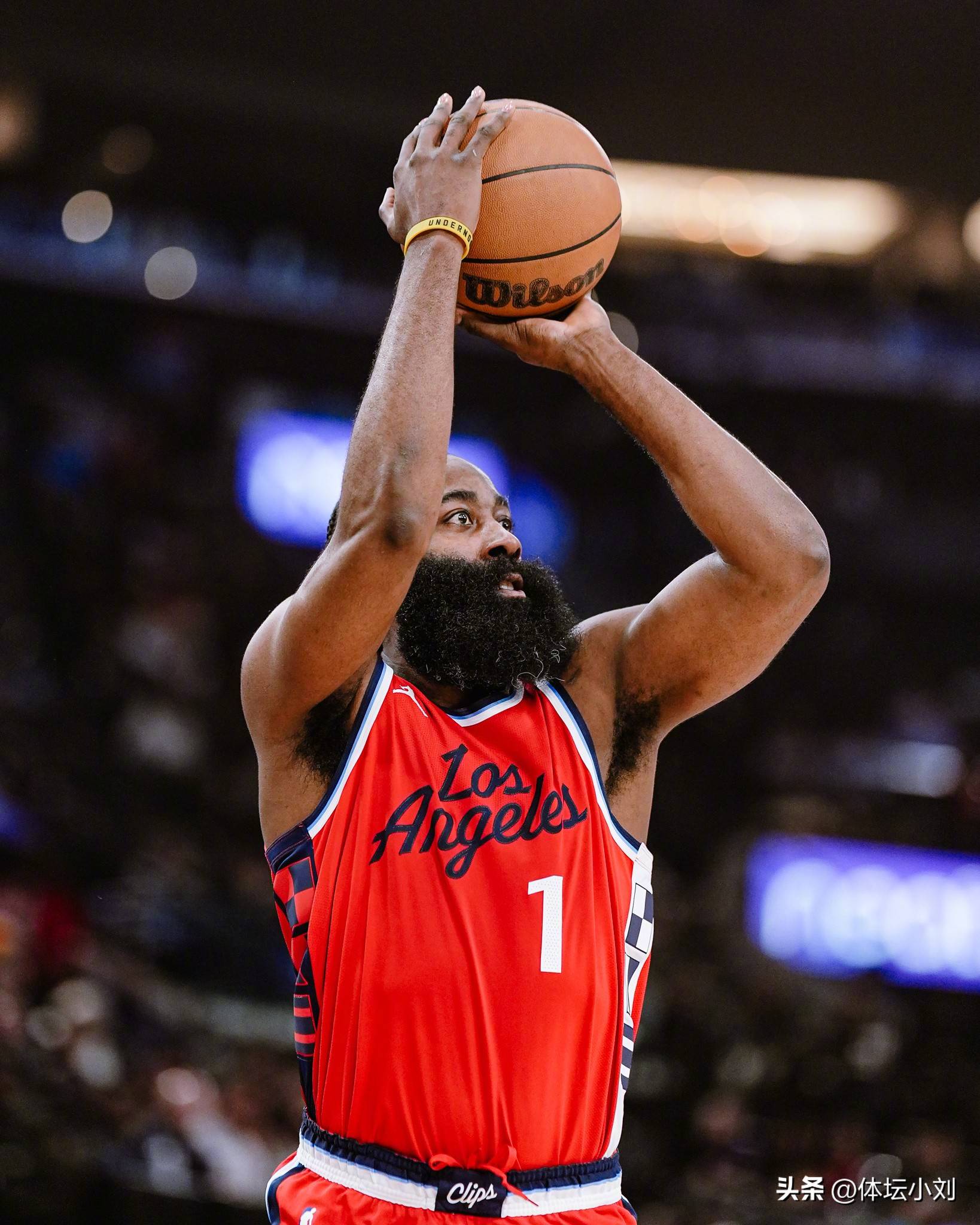 成比例地放 成比例地放